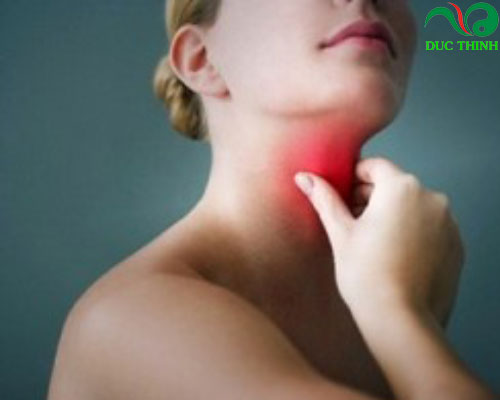 Cây bọ mắm hỗ trợ điều trị viêm họng hiệu quả