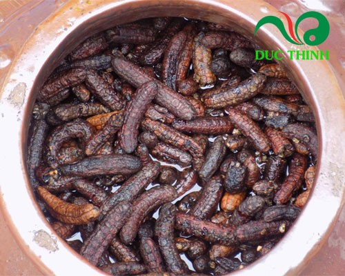 Lưu ý ngâm rượu chuối hột rừng