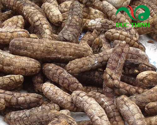Bài thuốc nam chữa sỏi thận tại nhà hiệu quả