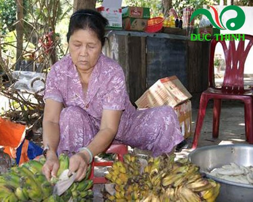 Cách sử dụng chuối hột rừng điều trị sỏi thận