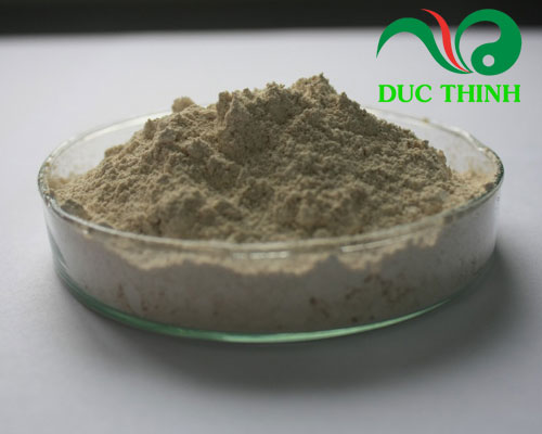 Chuối hột rừng tán bột