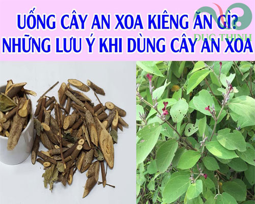 luu_y_khi_su_dung_cay_an_xoa