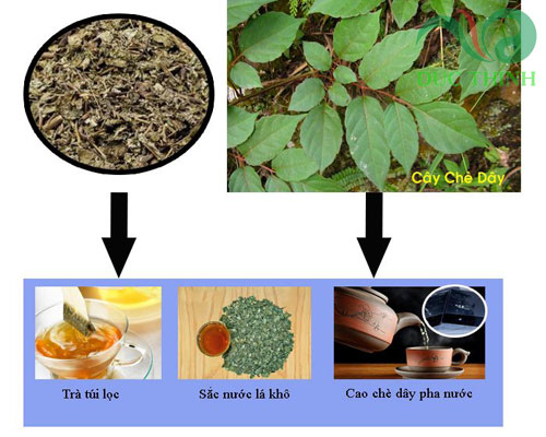 cach_su_dung_che_day