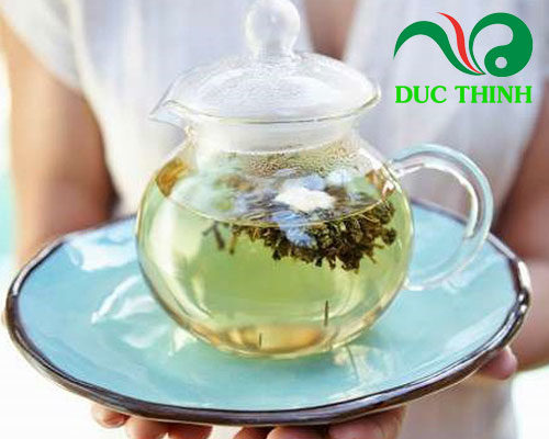 công dụng của cây chìa vôi