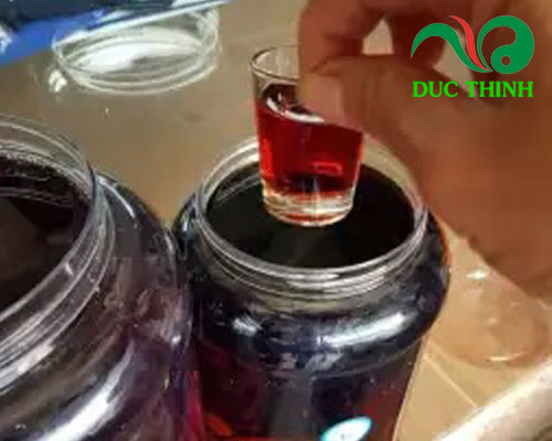 Cây xương khỉ ngâm rượu