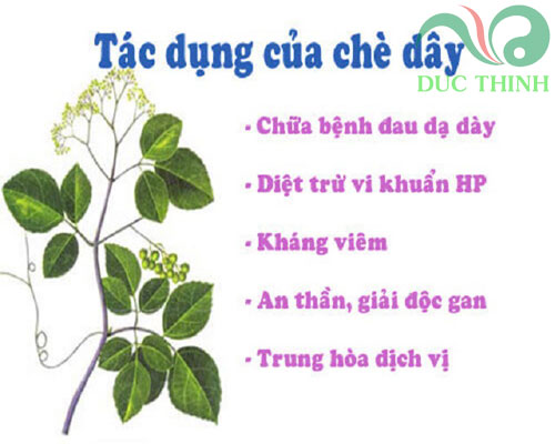 tac_dung_cua_che_day