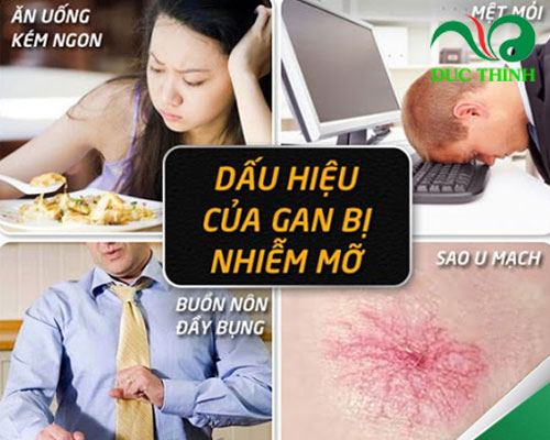 Gan Nhiễm Mỡ