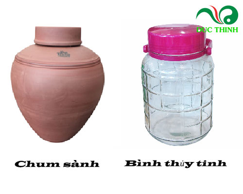 Trái nhàu khô ngâm rượu