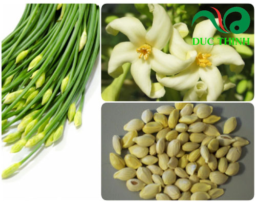 cach_dung_hoa_du_du_duc_tri_ho_o_tre_e