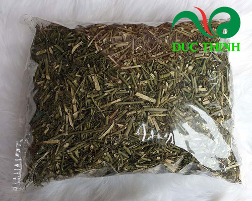 Cây xương khỉ khô 