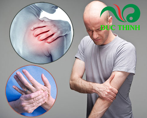 Cốt toái bổ có tác dụng gì?