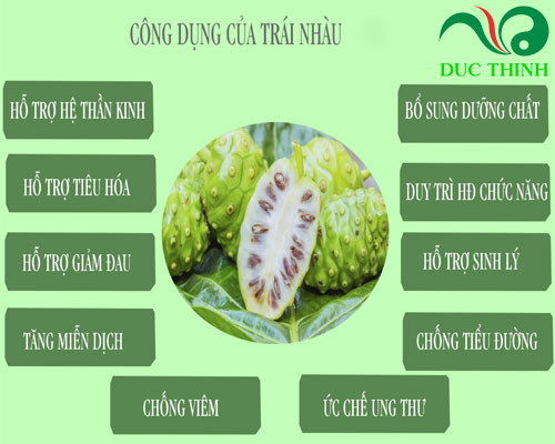 cong_dung_cua_qua_nhau