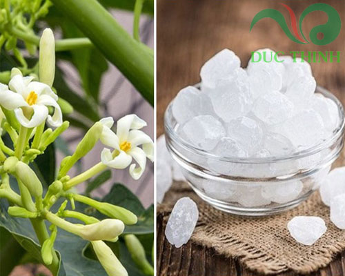 hoa_du_du_duc_chung_duong_phen_tri_ho