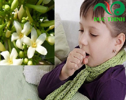 hoa_du_du_duc_tri_ho_o_tre_em