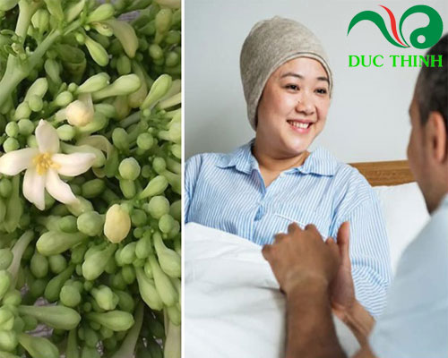 hoa_du_du_duc_ngan_ngua_va_ho_tro_chua_ung_thu