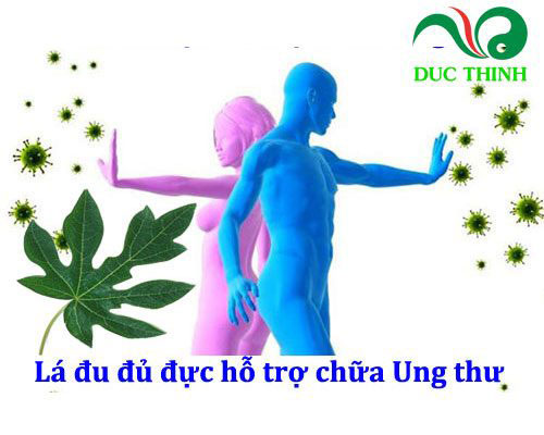 la_du_du_duc_chua_ung_thu