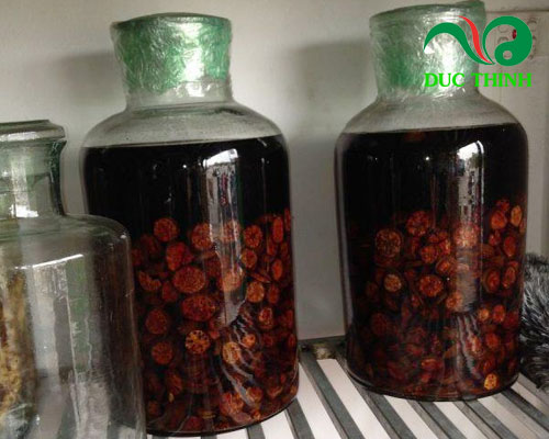 Trái nhàu khô ngâm rượu