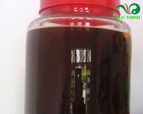 Trái nhàu khô ngâm rượu