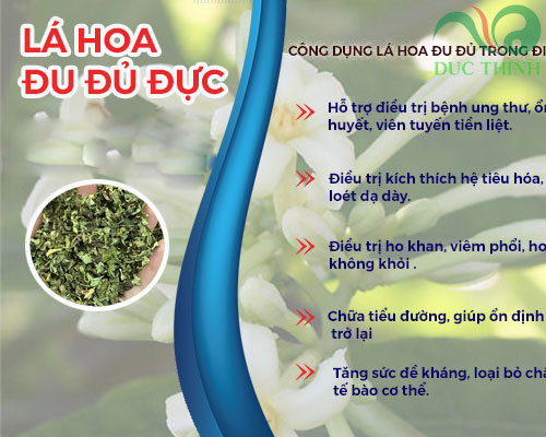 tac_dung_cua_la_du_du_duc