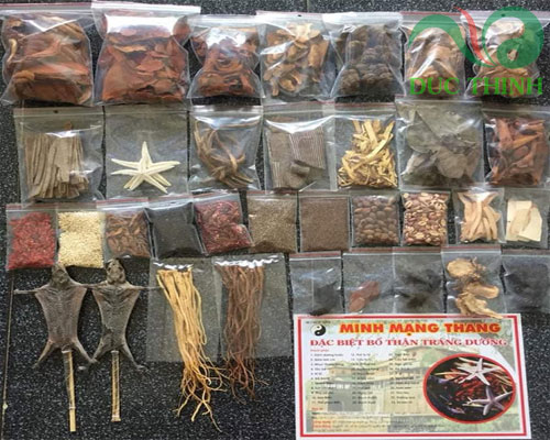 cac_vi_thuoc_co_trong_minh_mang_thang