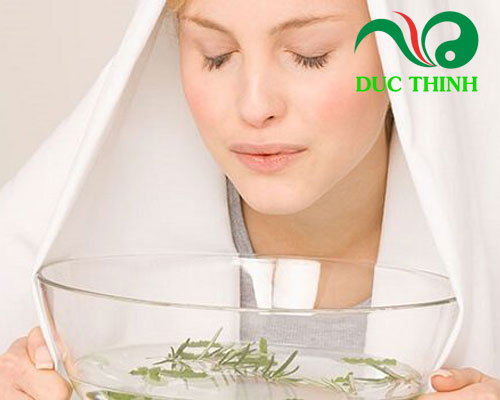 Cách dùng cây lưỡi rắn trị viêm xoang