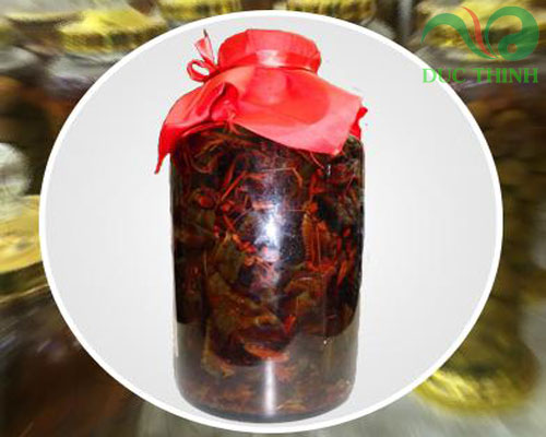 cach_dung_bai_thuoc_amakong