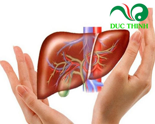 Công dụng của cât lữ đồng