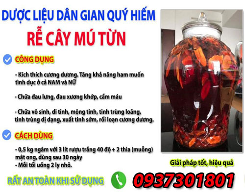 cong_dung_cua_cay_mu_tun