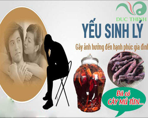 doi_tuong_nen_dung_cay_mu_tun