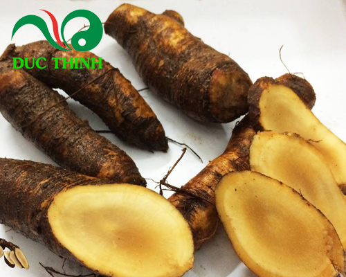 hình ảnh củ gai