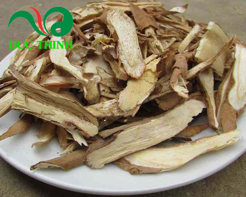 hình ảnh củ gai