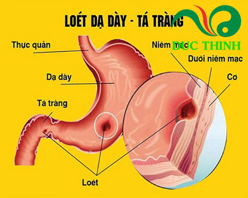 Tác dụng của hoa đu đủ đực