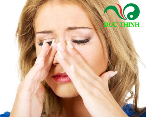 Cây lưỡi rắn trị viêm xoang