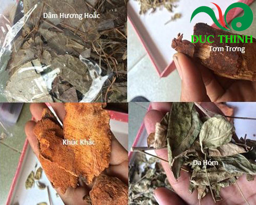 thanh_phan_duoc_lieu_co_trong_bai_thuoc_amakong