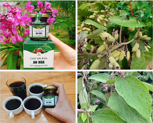 thanh_phan_duoc_lieu_chinh_co_trong_cao_an_xoa