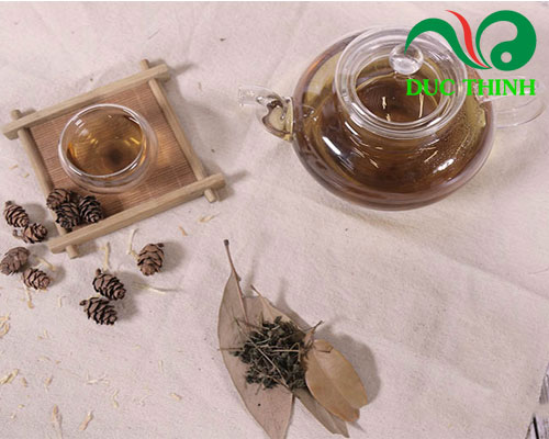 Cách sử dụng diệp hạ châu