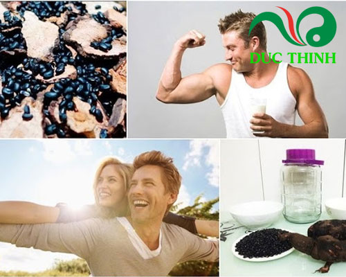 Công dụng của Hà thủ ô đỏ ngâm rượu