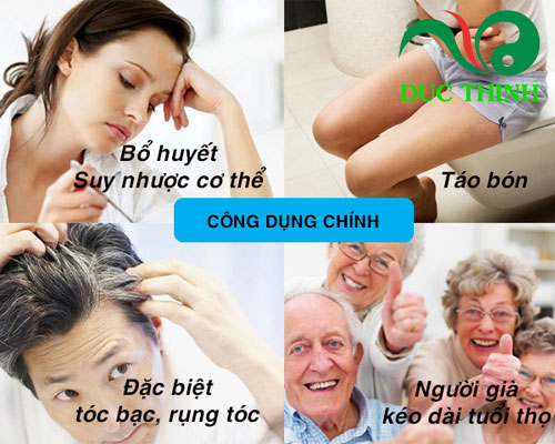 Công dụng của hà thủ ô đỏ