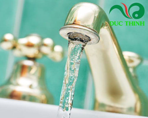 Diệp hạ châu có tác dụng gì?