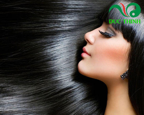 Hà thủ ô đỏ có tác dụng gì?