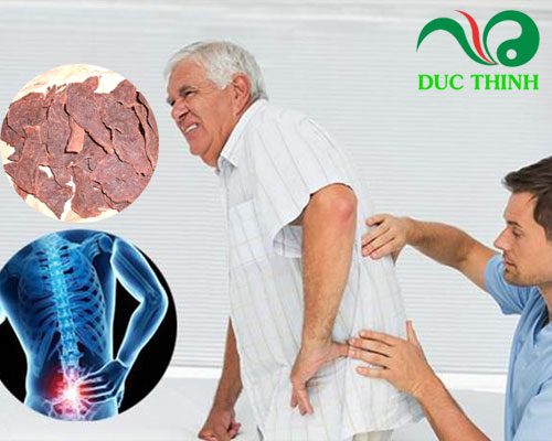 Hà thủ ô đỏ có tác dụng gì?