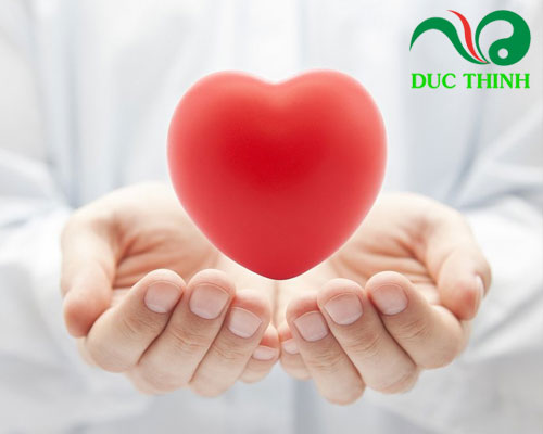 Hà thủ ô đỏ có tác dụng gì?