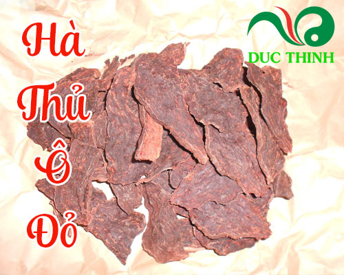 Hà thủ ô đỏ ngâm rượu