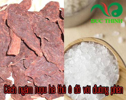 Hướng dẫn cách dùng hà thủ ô đỏ ngâm rượu đúng chuẩn nhất