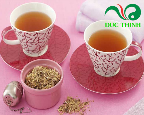 Cách dùng cây râu mèo trị sỏi thận