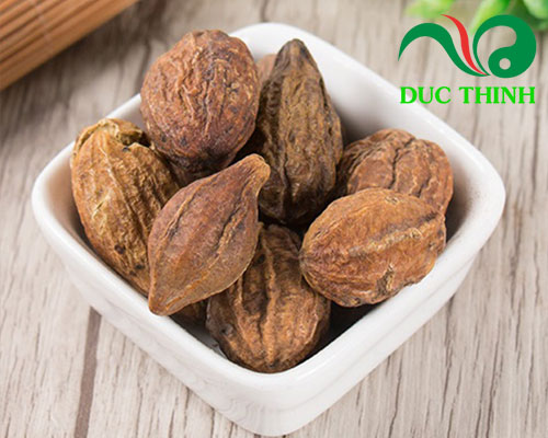 Những bài thuốc hay cùng quả kha tử