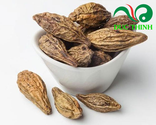 Cách dùng quả kha tử khô