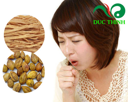 Cách dùng quả kha tử khô