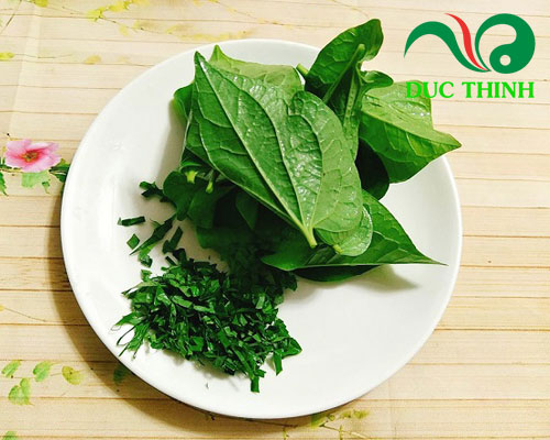 Cách dùng rễ và thân cây lá lốt chữa tiêu chảy