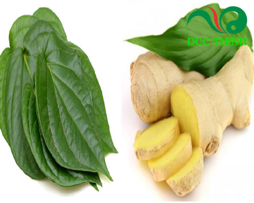 Cách ngâm chân cây lá lốt hiệu quả tại nhà